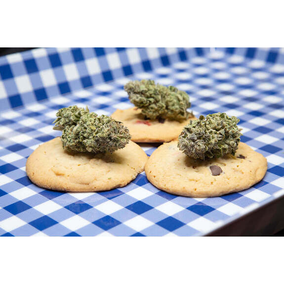 Falcanna Gorilla Cookies 3.5g
