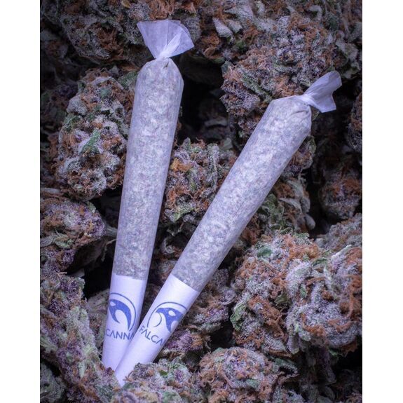 Falcanna Gorilla Cookies 2pk Preroll 1.2g