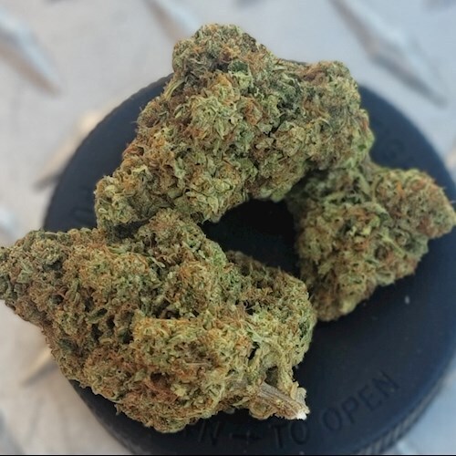 Sticky Mantis - Grapefruit Haze 3.5g