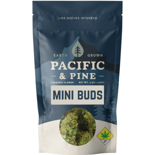 Pacific & Pine - Mini Buds - Blueberry Muffin 14g