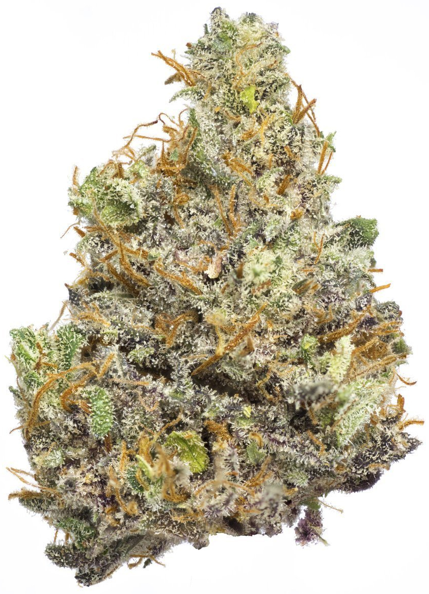 MOROCCAN PEACH