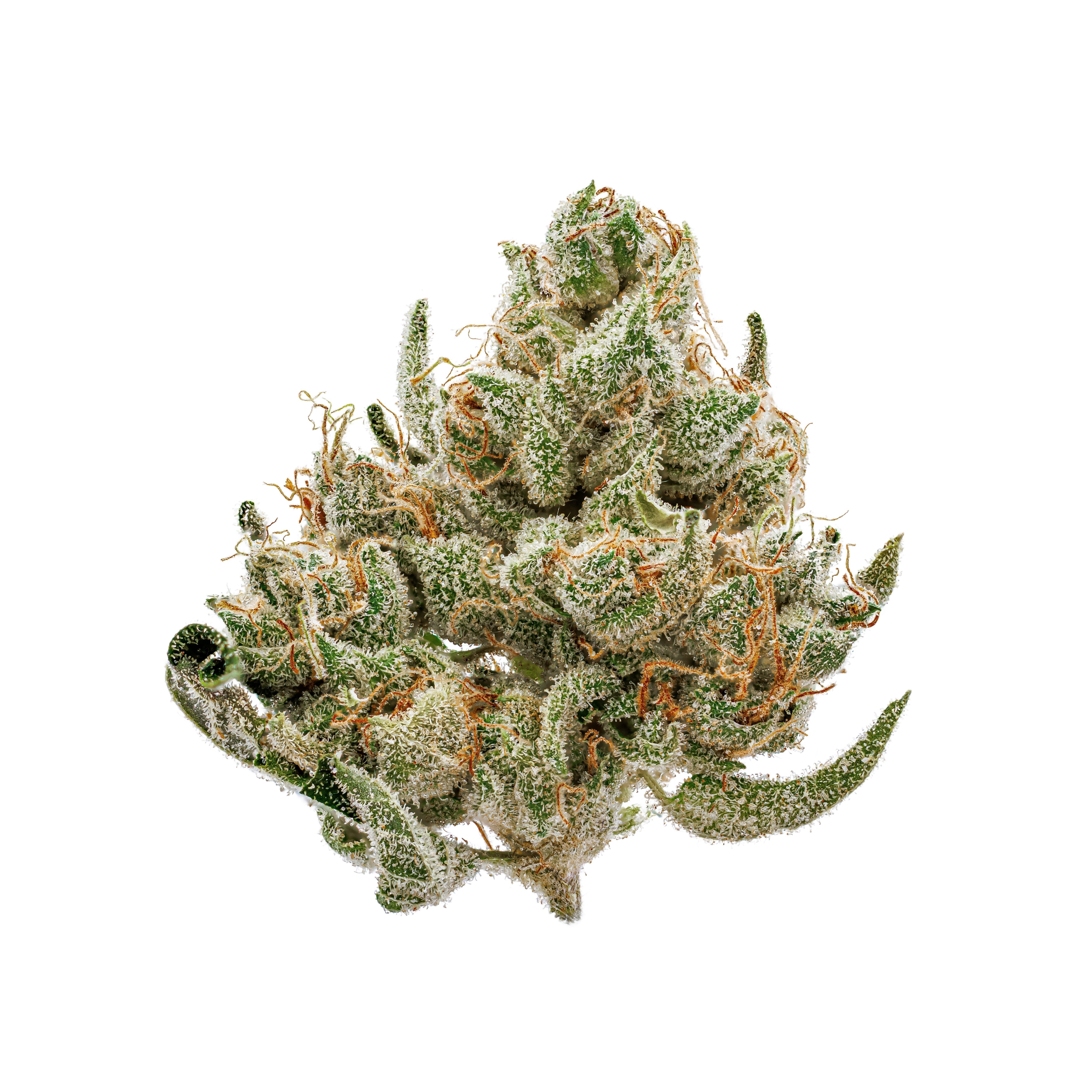 Phat Panda Hawk Tuah 7g