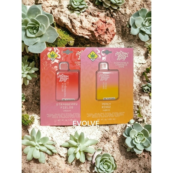 1g Strawberry Fields Disposable - MicroBar