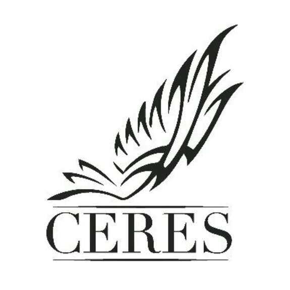 CERES Topical Balm: Xtra Dragon Balm 1:1 350mg THC + 250mg CBD 2oz