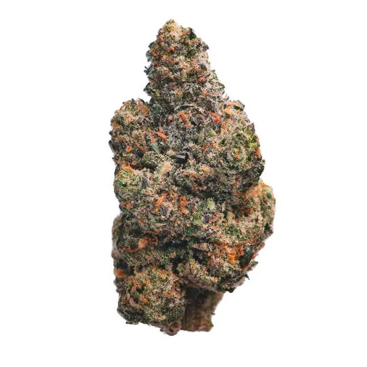 $9 - Tokyo - Dream Factory