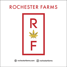Rochester Farms - Runtz (S) 14g