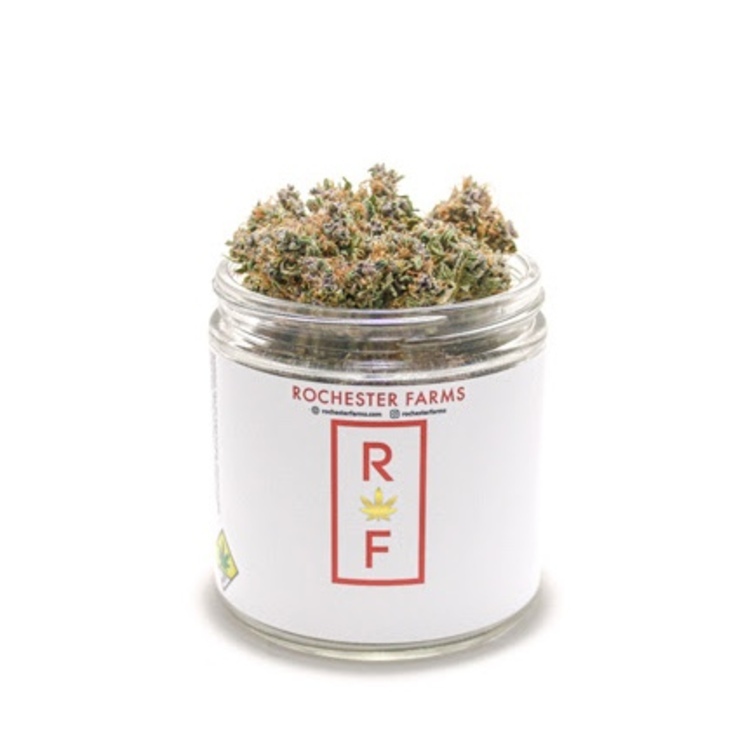 Gas Runtz Flower