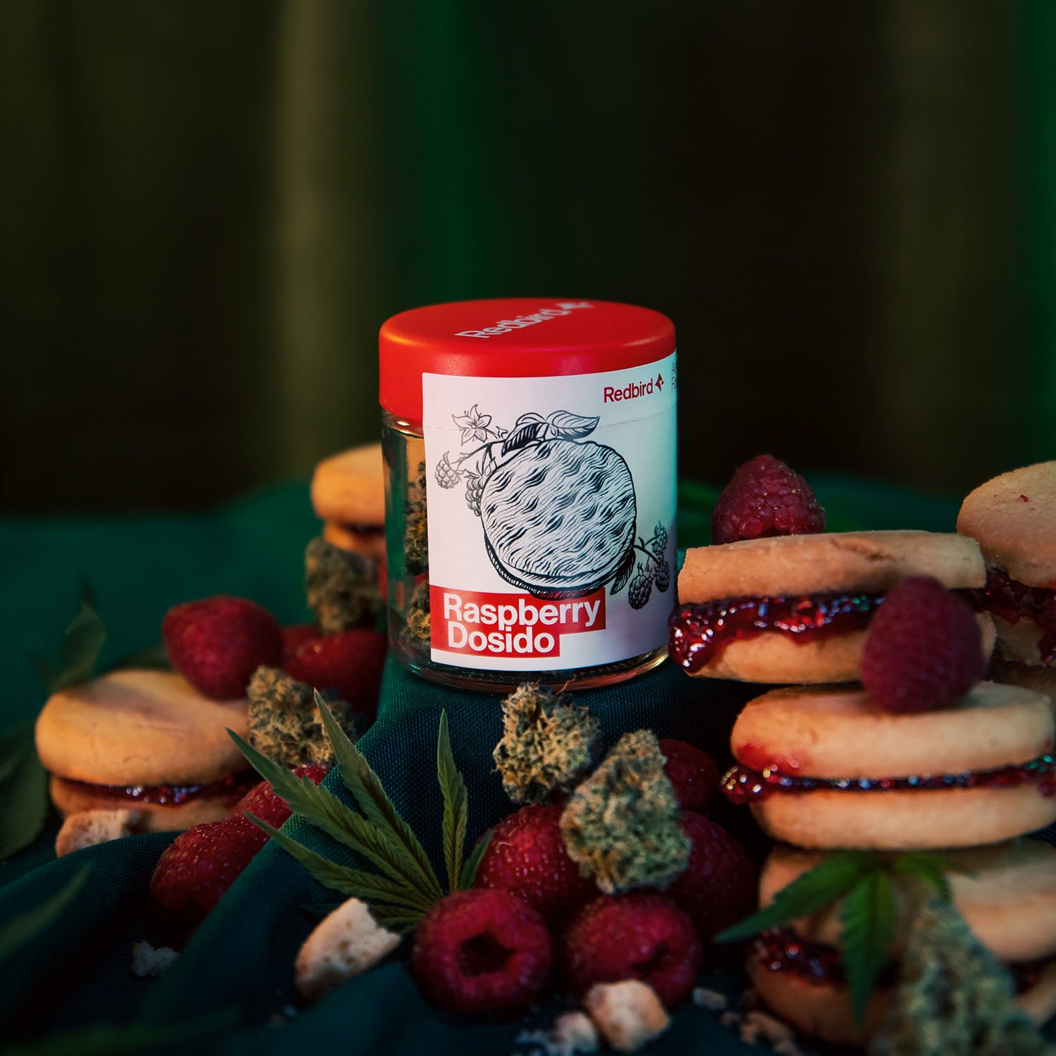 Raspberry Dosido - Redbird | Central District