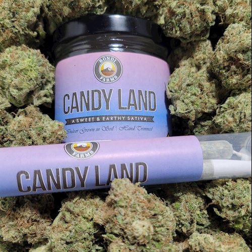 Bondi Farms - Candyland 1g