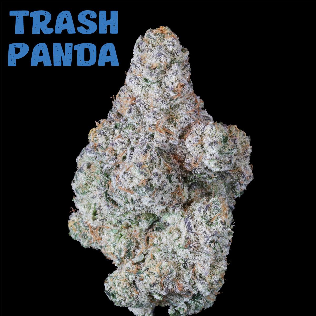 PDX Organics: Trash Panda