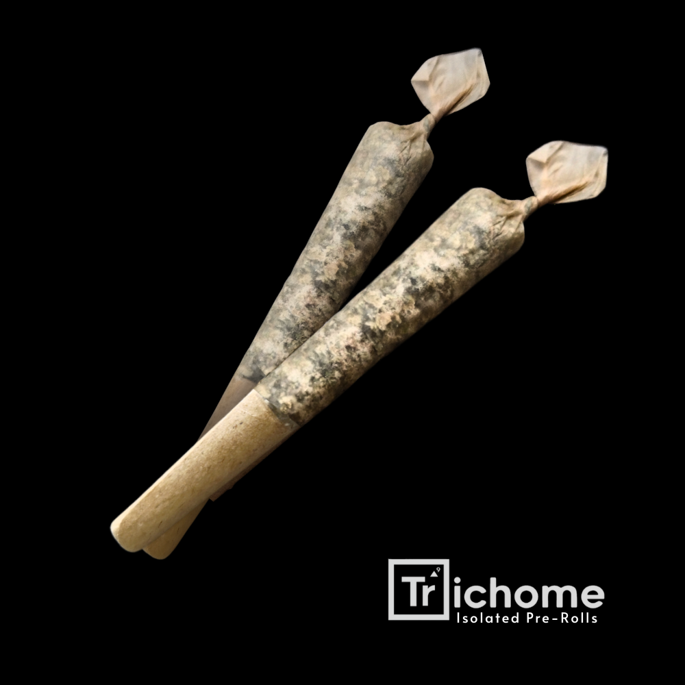 Trichome Infused Pre-roll Crop CircleZ 2/.5g
