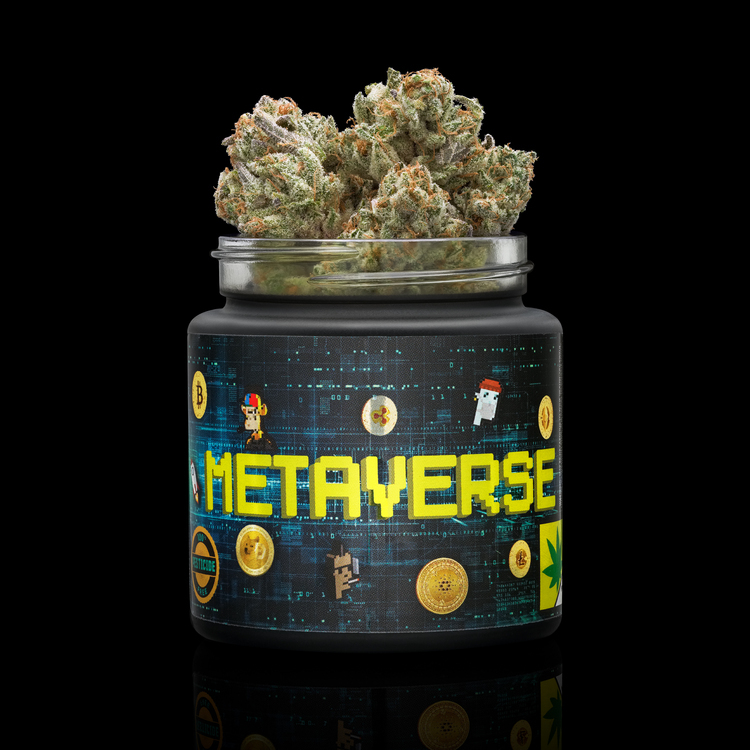 Metaverse