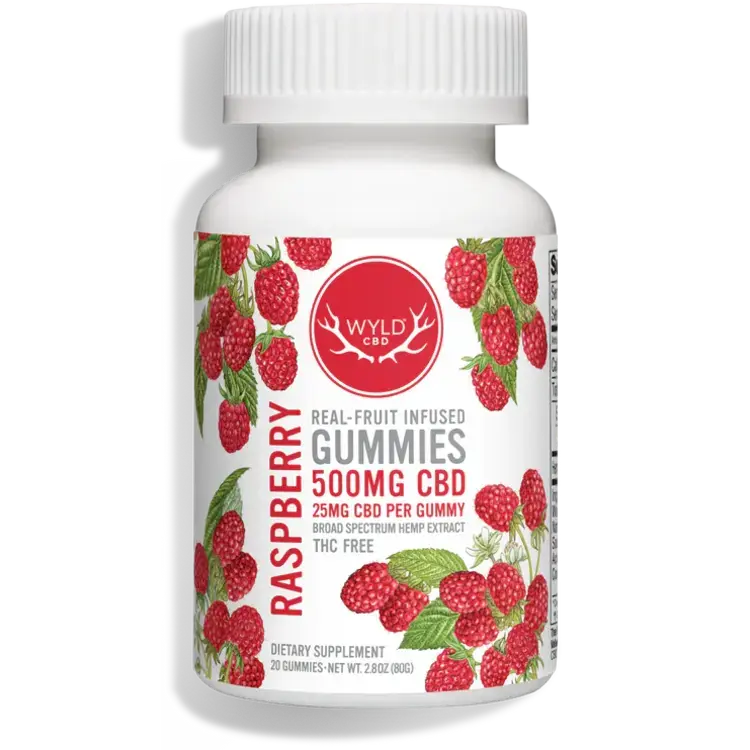HEMP 500mg Raspberry Gummies