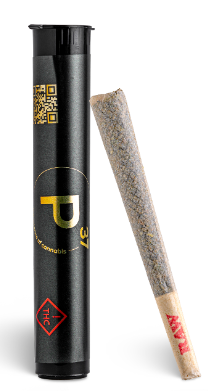 P37 FACE ON FIRE 1 GRAM PREROLL HYBRID 26.4%