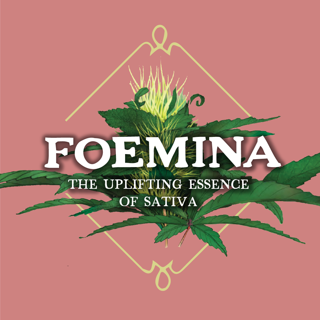 Foemina Infused Pre-Roll Maui Wowie 1/1g
