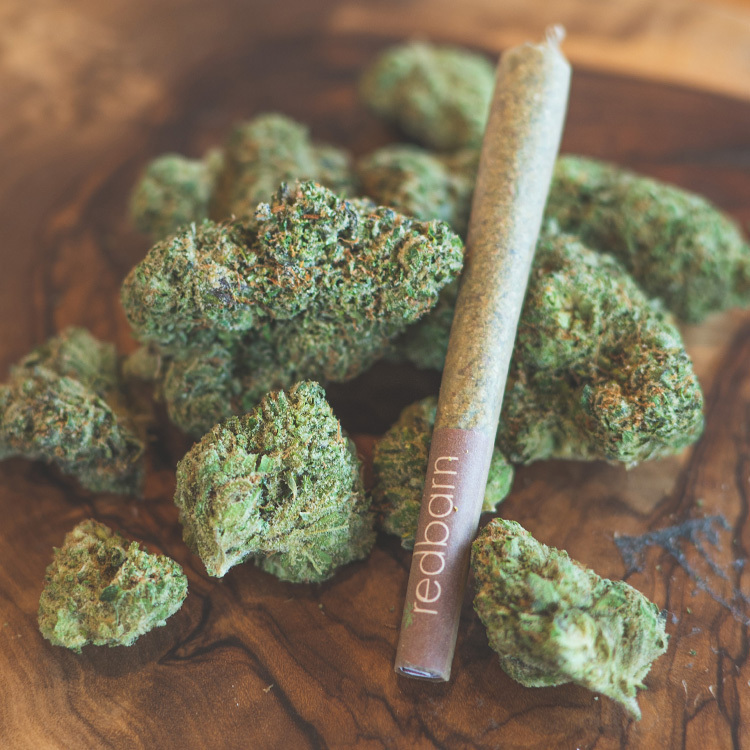 Watermelon Gelato Pre Roll