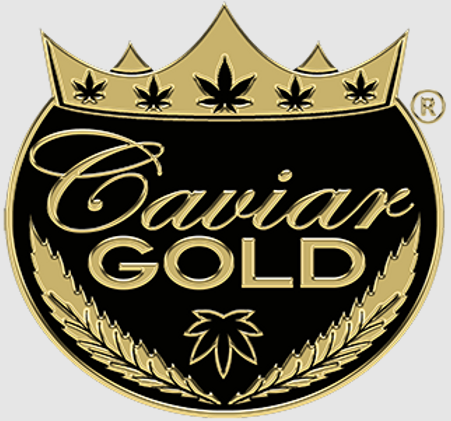 CAVIAR GOLD BLUE GLUE 1.5 GRAM CAVI CONE INFUSED PRE ROLL HYBRID 51.58%