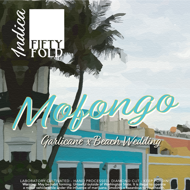 Fifty Fold - Mofongo 1g