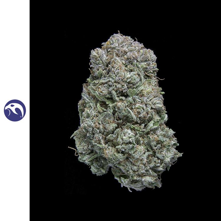 CBD Flower