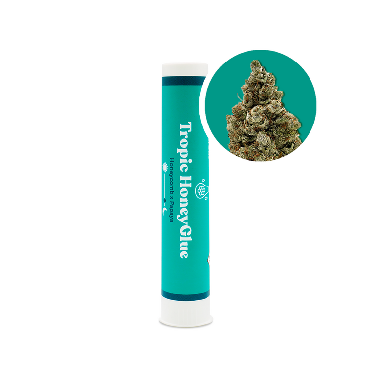 Preroll Tropic Honeyglue 1g (I) Dewey