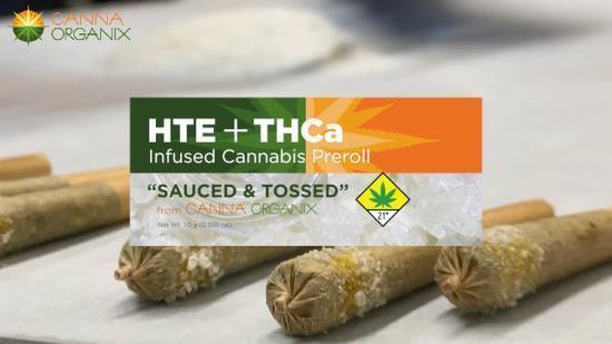 Sauced & Tossed - Banana Runtz - 1g