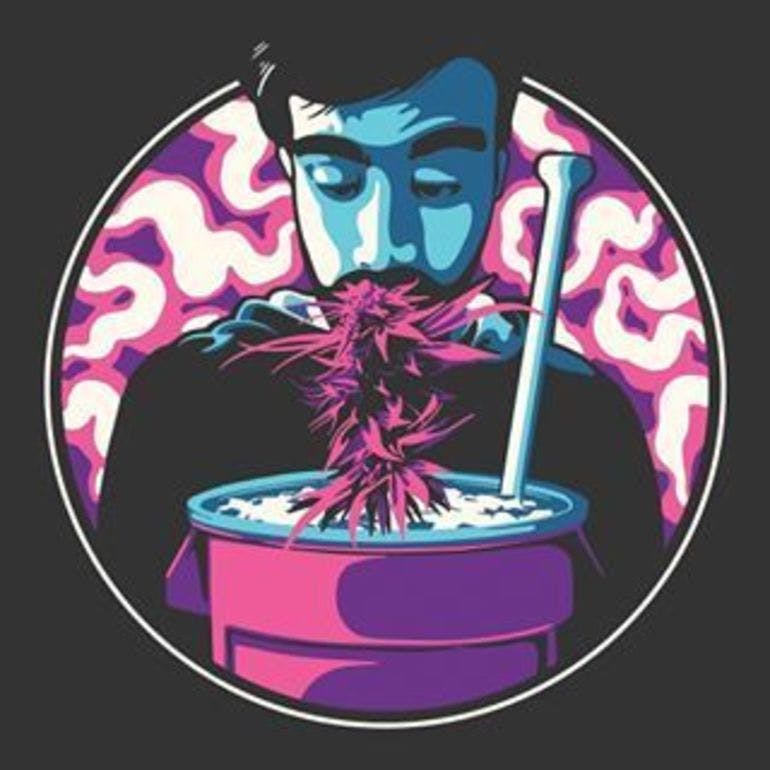 Out: Skunk 1