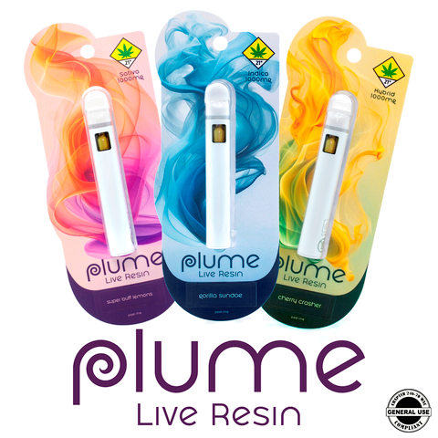 Live Resin Disposable Vape Gelato Jack - Plume | Central District
