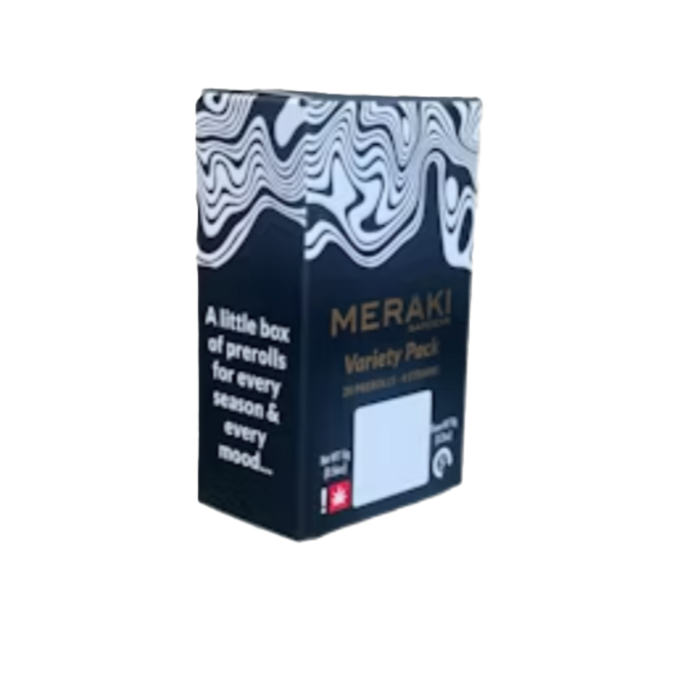 Meraki 20 Pack MT/R/S/SW