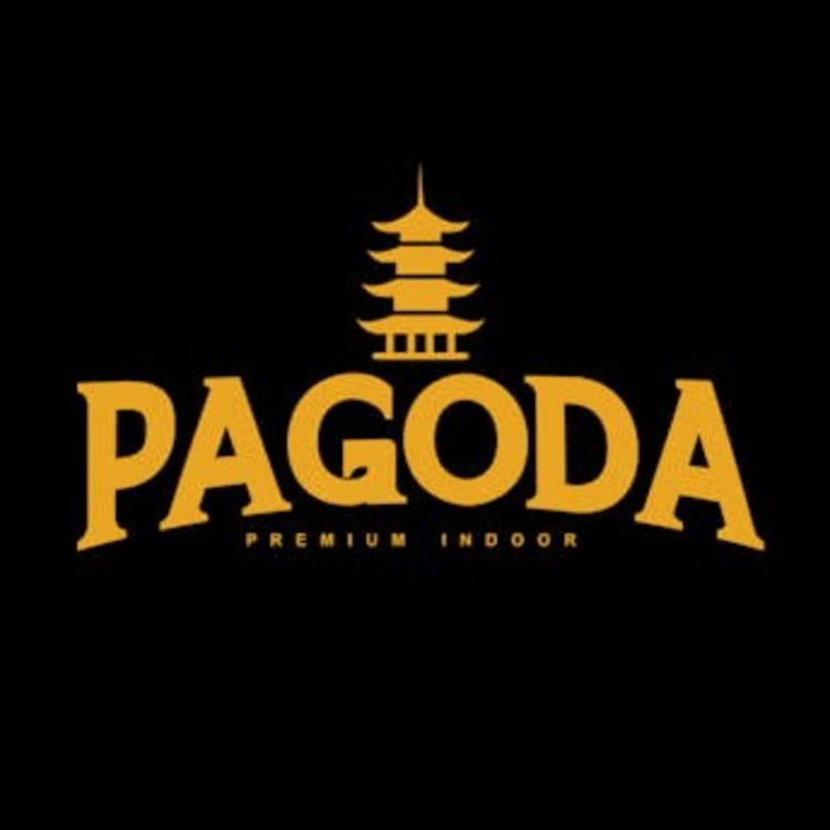Pagoda Flower Guava Oreoz 28g