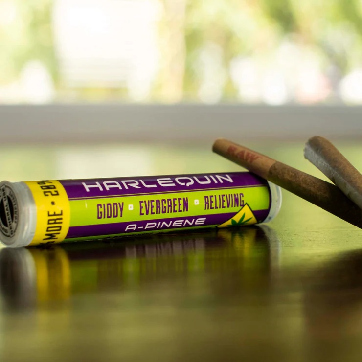 JO 12pk Harlequin 7.2g Trail Blazin