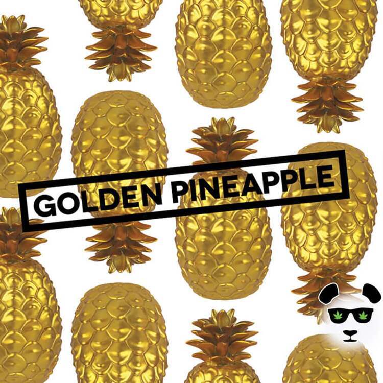 Golden Pineapple - PR