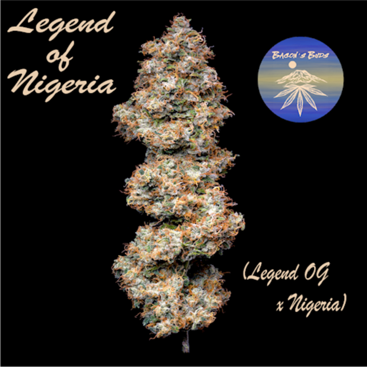 Legend of Nigeria