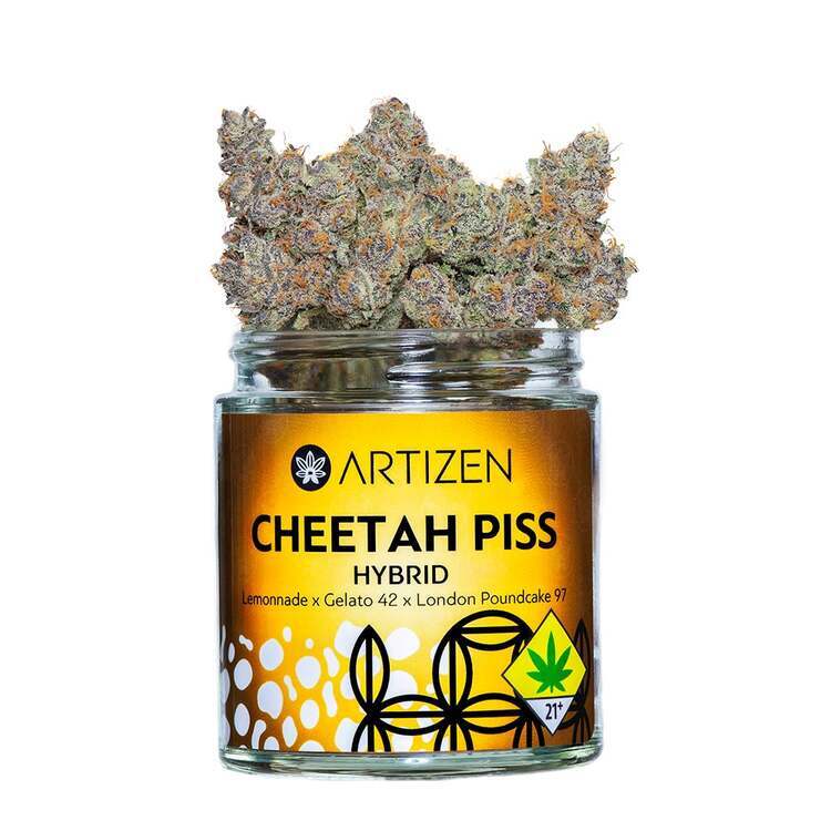 Cheetah Piss