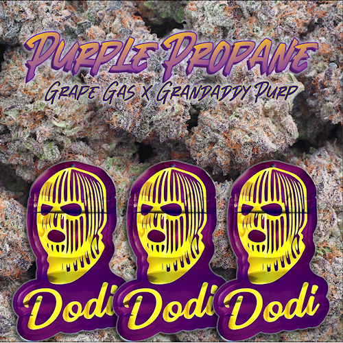 Dodi - Purple Propane 3.5g