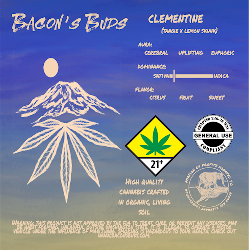 Bacon's Buds - Clementine Joints 2pk