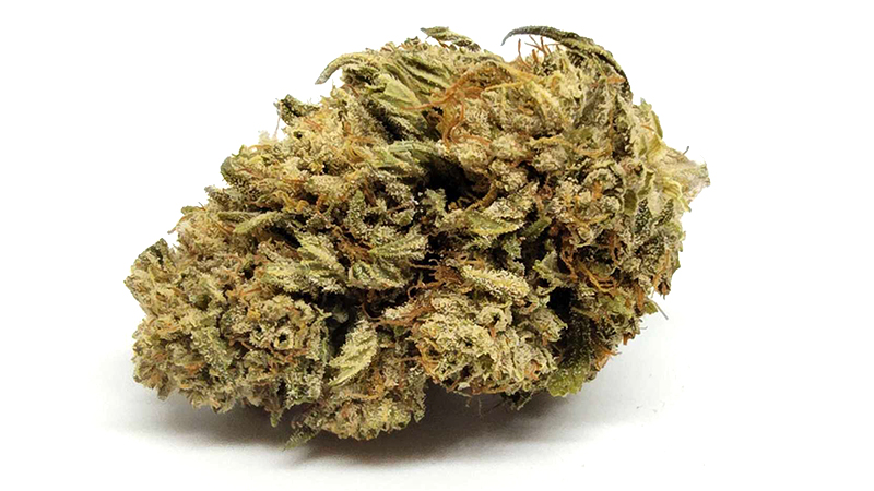 East Fork Cultivars - White CBG - Gold - CBD