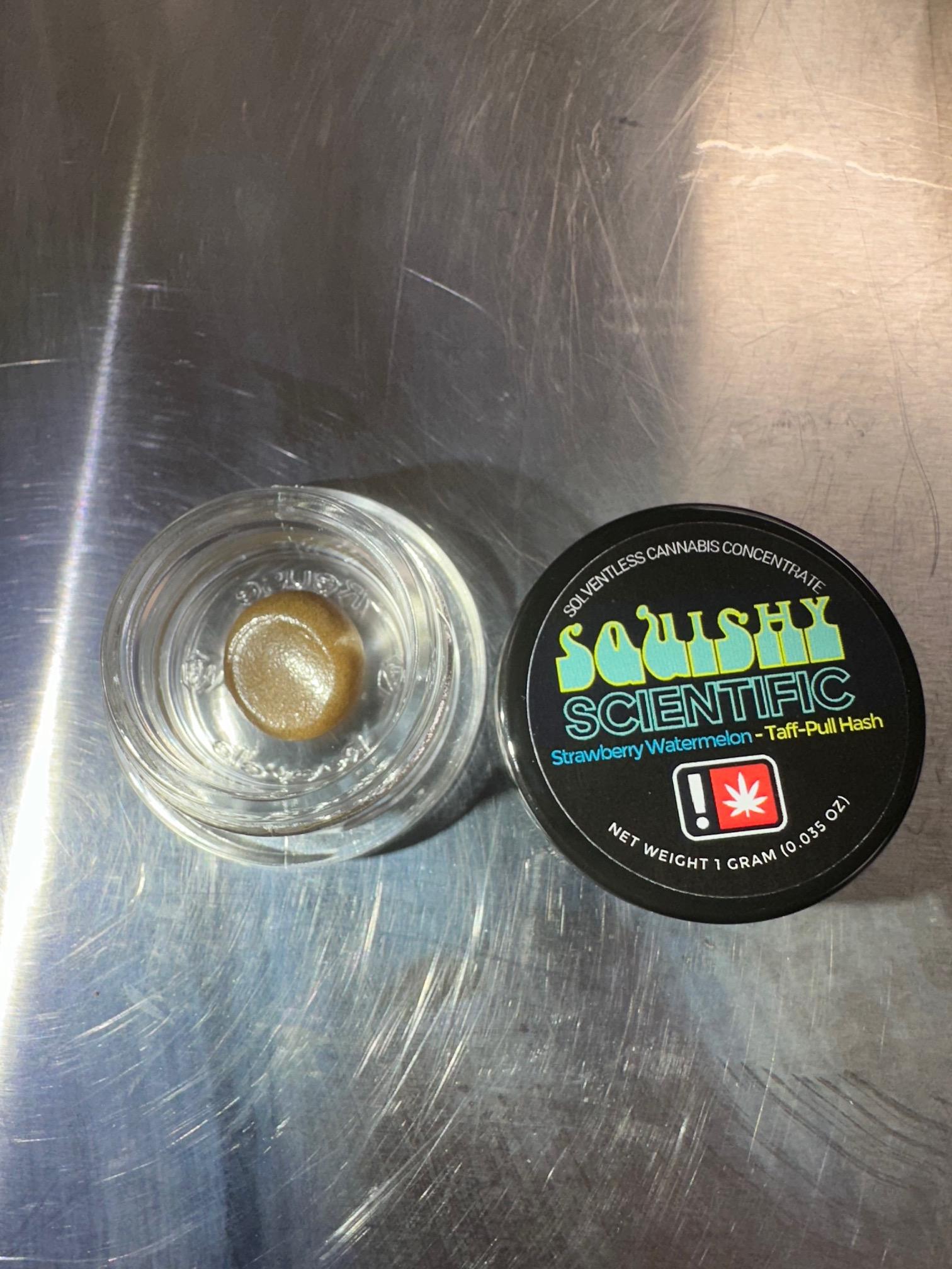 Squishy Scientific: Watermelon Ice