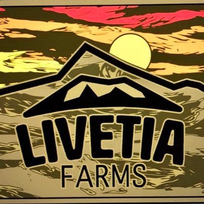 1G Hash Burger Rosin 1G (Livetia)