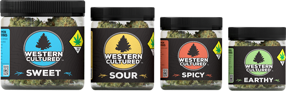 Lumpy Space Princess