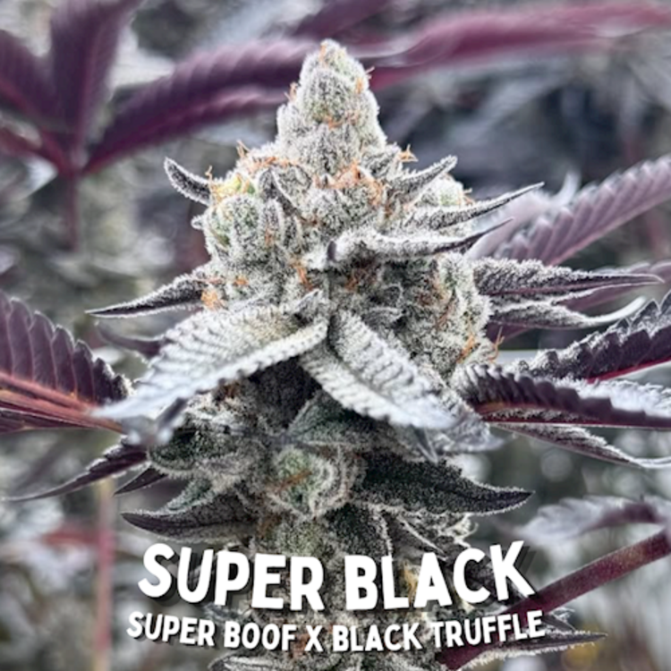Super Black