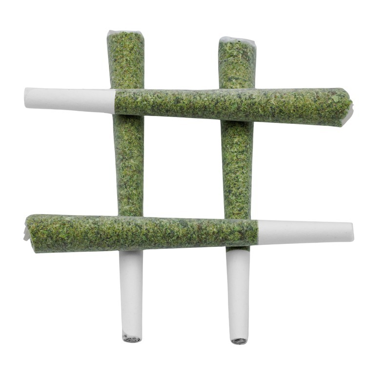 Lemon Haze 3pk/ Oil Infused