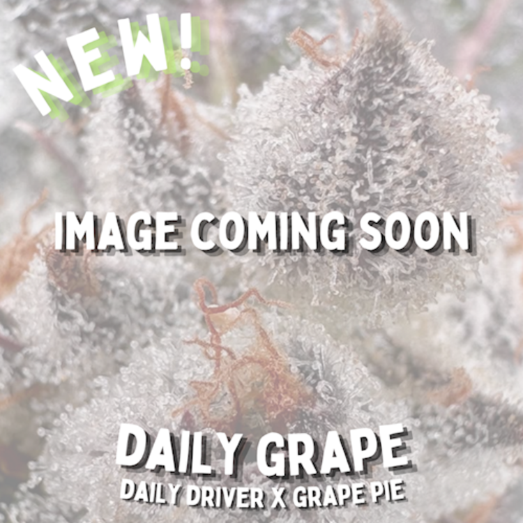 Daily Grape