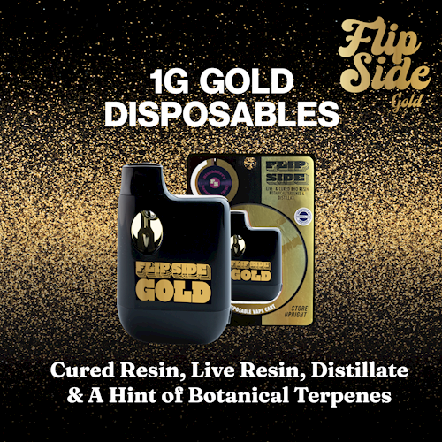 Plaid Jacket - FlipSide Gold - Cereal Milk Disposable