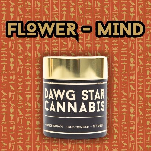 Dawg Star - Blue Dream 3.5g