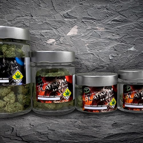 For Platinum Reserve - Blueberry Scone - 28g