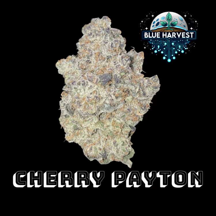 Blue Harvest | Wholes | Cherry Payton | 3.5g