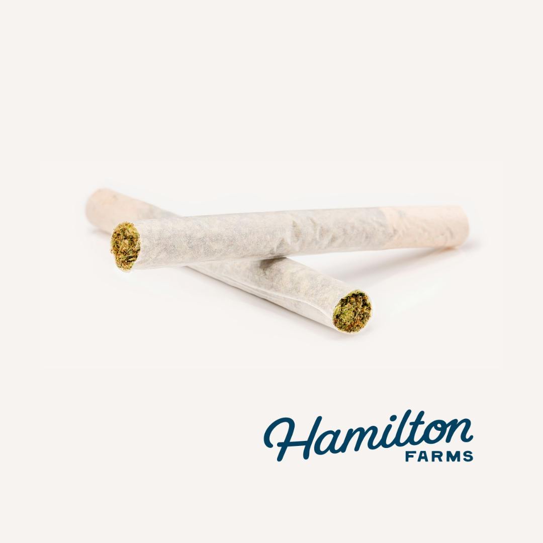 Hamilton Farms | San Fernando Valley OG | 2pk