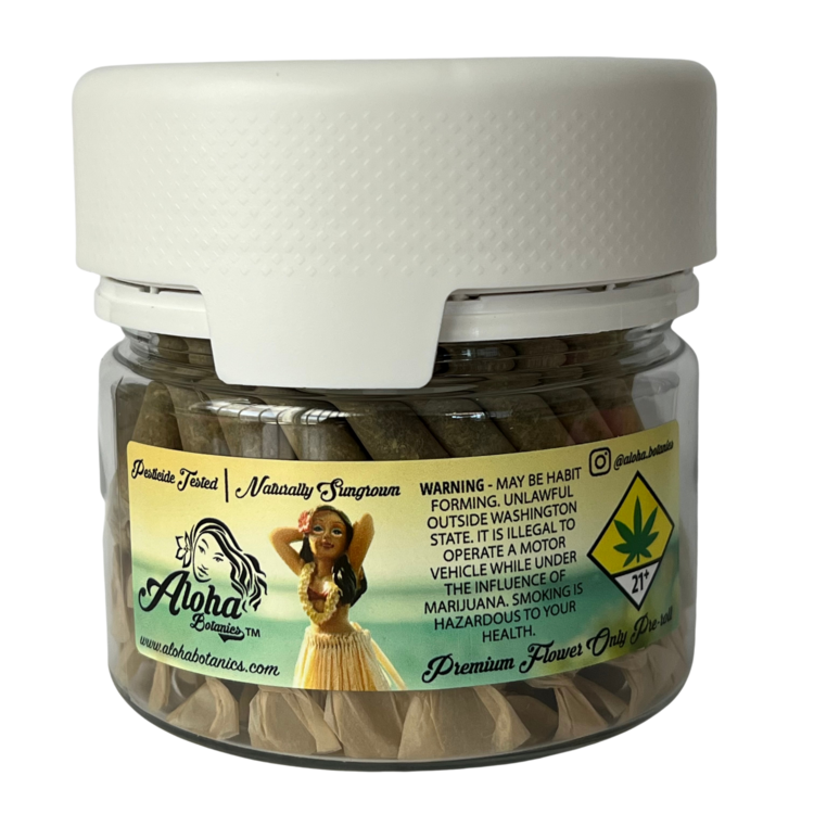 56pk Pr Dj Short Blueberry