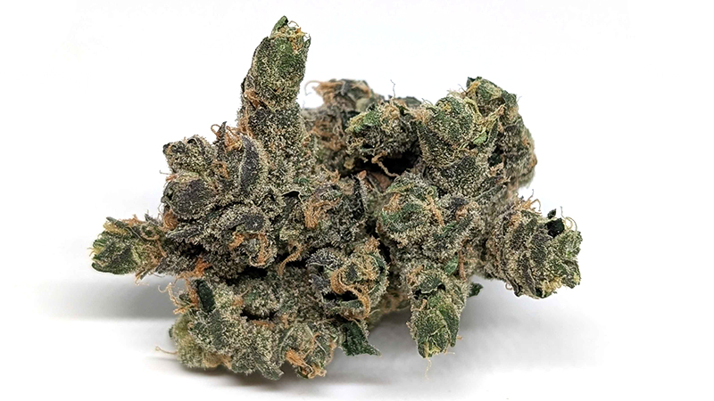 Trichome Farms - Banana Chillz - Platinum - H