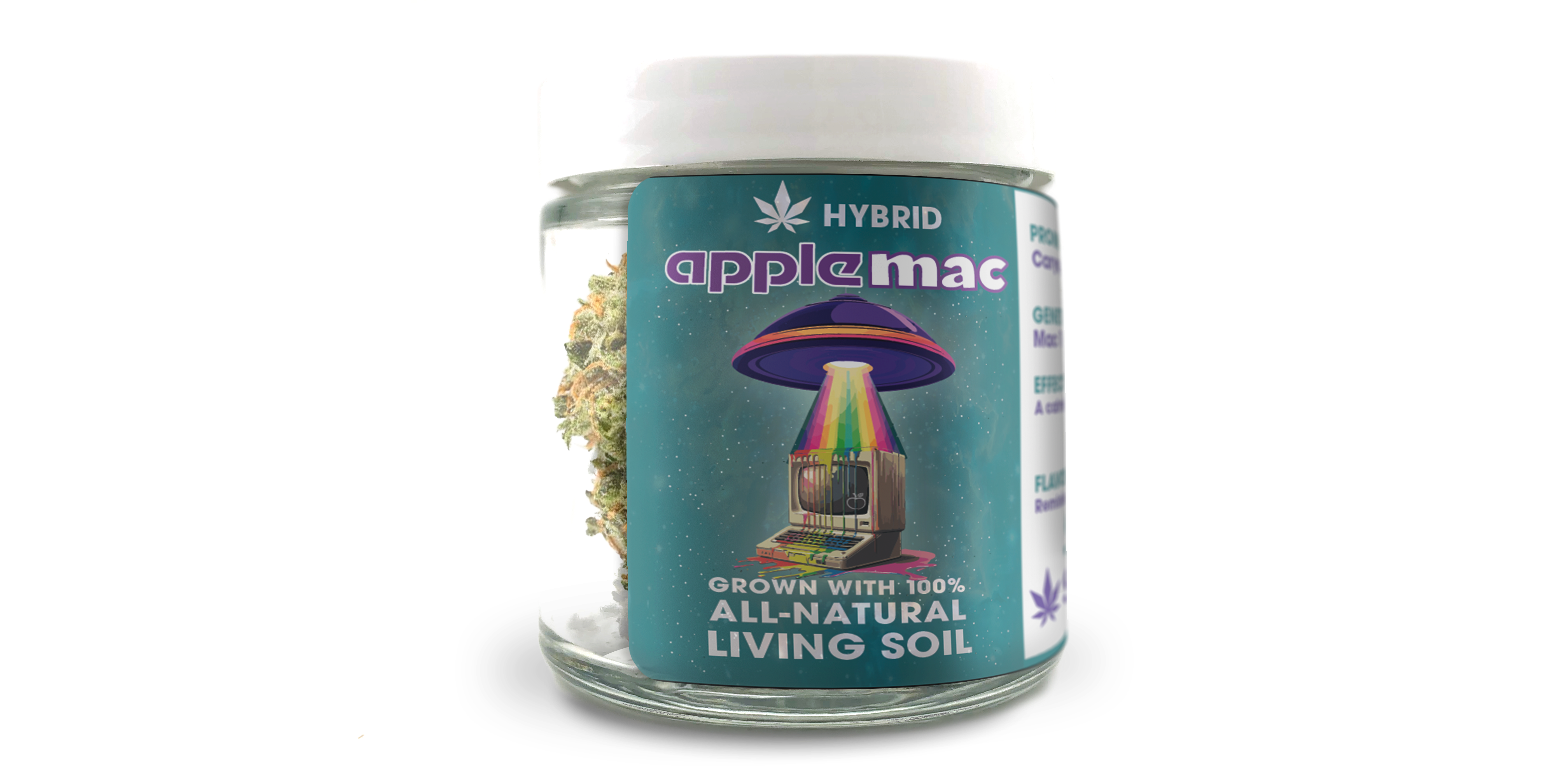 その他 Akibahara Flowers Panda - Apple #9929+MF Apple MAC - Sweetwater Farms | Central District